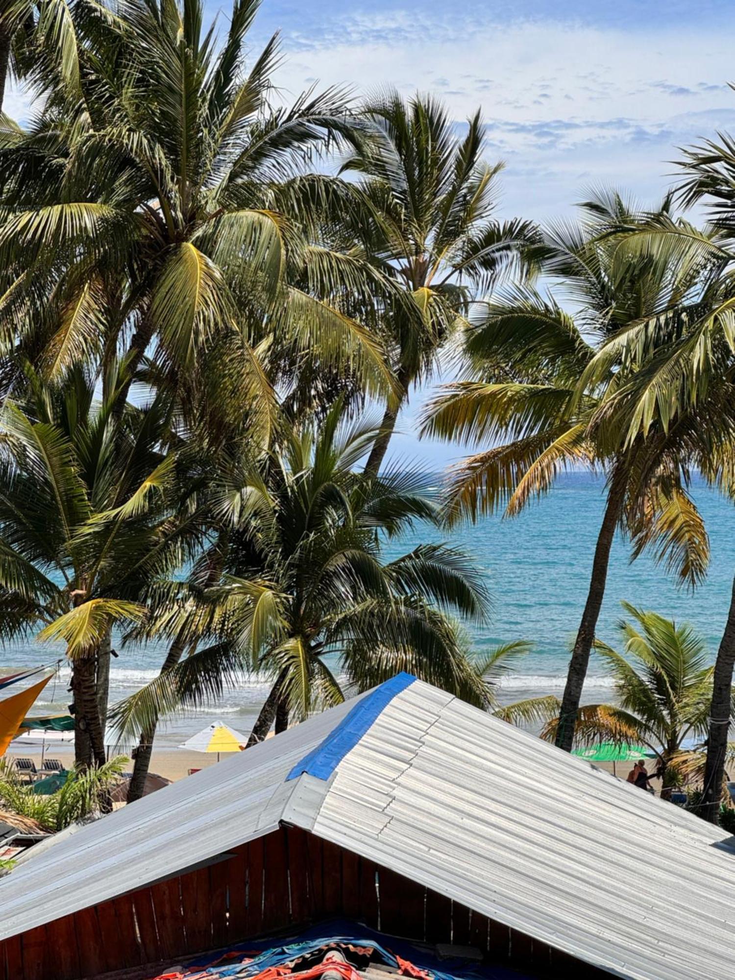 Hostel Wing Camp Cabarete Zewnętrze zdjęcie