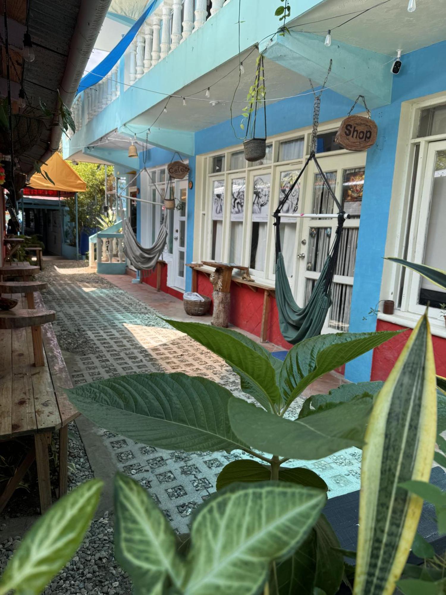Hostel Wing Camp Cabarete Zewnętrze zdjęcie
